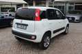 Fiat Panda 1.3 MJT S&S 4x4 Climbing Van 2 posti ELD Weiß - thumbnail 2