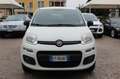 Fiat Panda 1.3 MJT S&S 4x4 Climbing Van 2 posti ELD Weiß - thumbnail 5