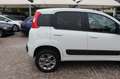 Fiat Panda 1.3 MJT S&S 4x4 Climbing Van 2 posti ELD Weiß - thumbnail 15