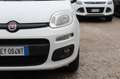 Fiat Panda 1.3 MJT S&S 4x4 Climbing Van 2 posti ELD Weiß - thumbnail 17