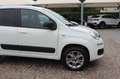 Fiat Panda 1.3 MJT S&S 4x4 Climbing Van 2 posti ELD Weiß - thumbnail 12