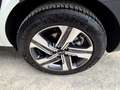 Kia Sorento 2.2 CRDI 2WD SPIRIT 7-Sitze&360°&BOSE Weiß - thumbnail 12