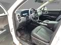 Kia Sorento 2.2 CRDI 2WD SPIRIT 7-Sitze&360°&BOSE Weiß - thumbnail 7