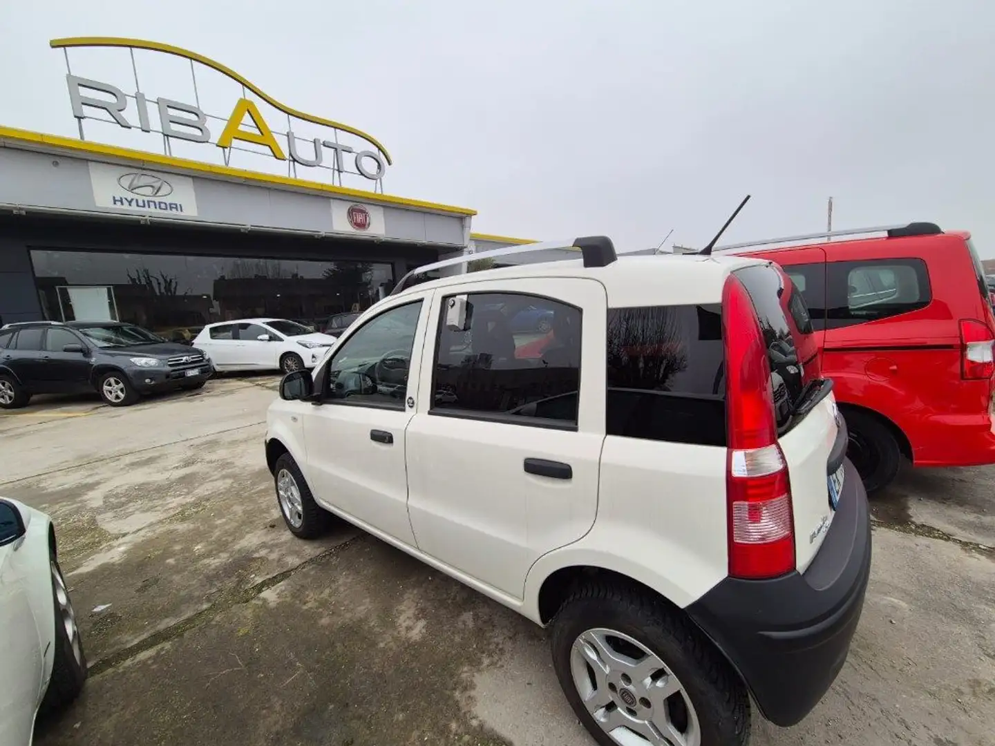 Fiat Panda 1.3 MJT 16V DPF 4x4 Climbing Bianco - 2