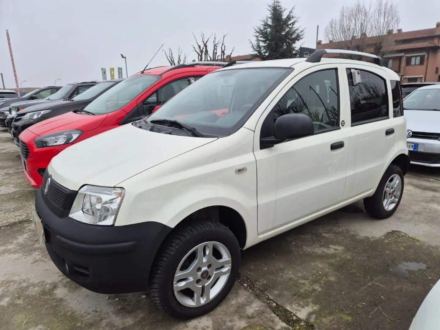 Fiat Panda 1.3 MJT 16V DPF 4x4 Climbing Bianco - 1