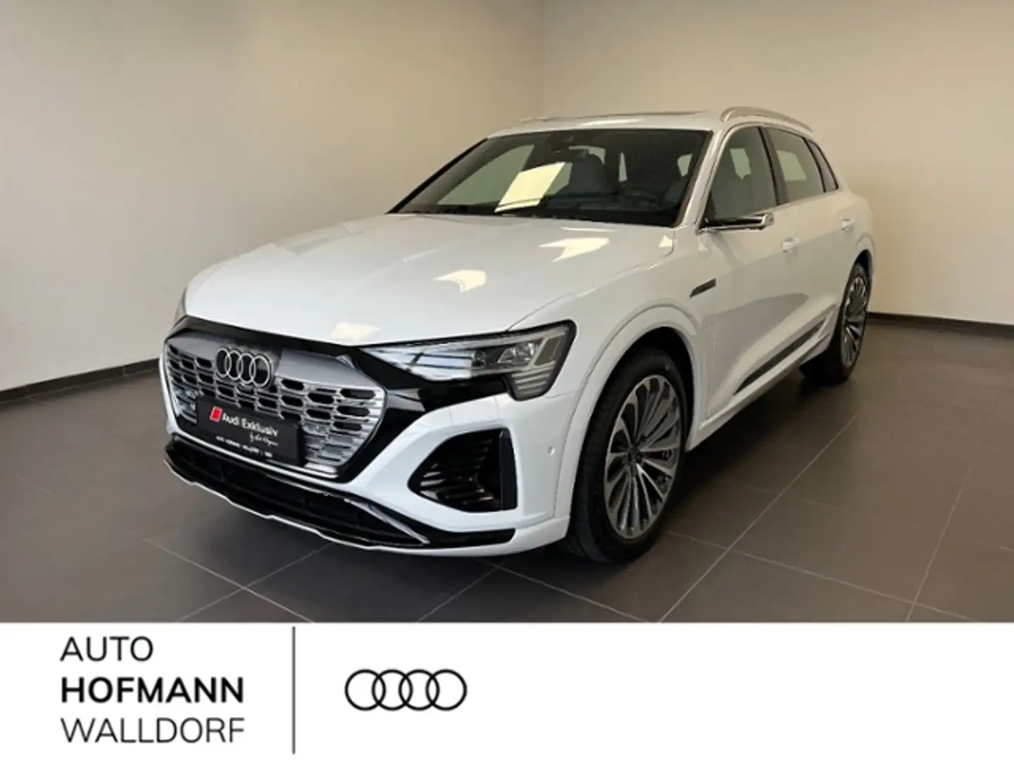 Audi Q8 e-tron S line 55 quattro Alb - 1