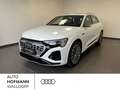 Audi Q8 e-tron S line 55 quattro Weiß - thumbnail 1