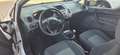 Ford Fiesta VAN 3p 1.4 tdci  Business 70cv Bianco - thumbnail 5