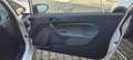 Ford Fiesta VAN 3p 1.4 tdci  Business 70cv Bianco - thumbnail 10