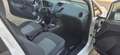 Ford Fiesta VAN 3p 1.4 tdci  Business 70cv Bianco - thumbnail 7
