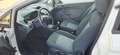 Ford Fiesta VAN 3p 1.4 tdci  Business 70cv Bianco - thumbnail 6