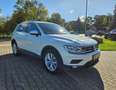 Volkswagen Tiguan Comfortline 4Motion Standhzg. Allwetter LED e.Heck Blanc - thumbnail 3