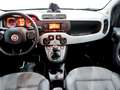 Fiat Panda City Cross 1.2 Weiß - thumbnail 9