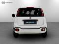 Fiat Panda City Cross 1.2 Weiß - thumbnail 5