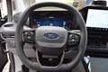 Ford Tourneo Custom Plug-in Hybrid 340 L2 Tourneo Titanium X FWD Grau - thumbnail 18