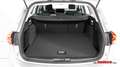 Ford Focus Turnier Tit. 1.0 EcoBoost Mild-Hybrid EU6d Argent - thumbnail 7