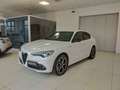 Alfa Romeo Stelvio Stelvio 2.2 Turbodiesel 210 CV AT8 Q4 Veloce Tì Wit - thumbnail 3