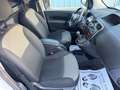 Renault KANGOO MAXI 1.5 DCI Weiß - thumbnail 14