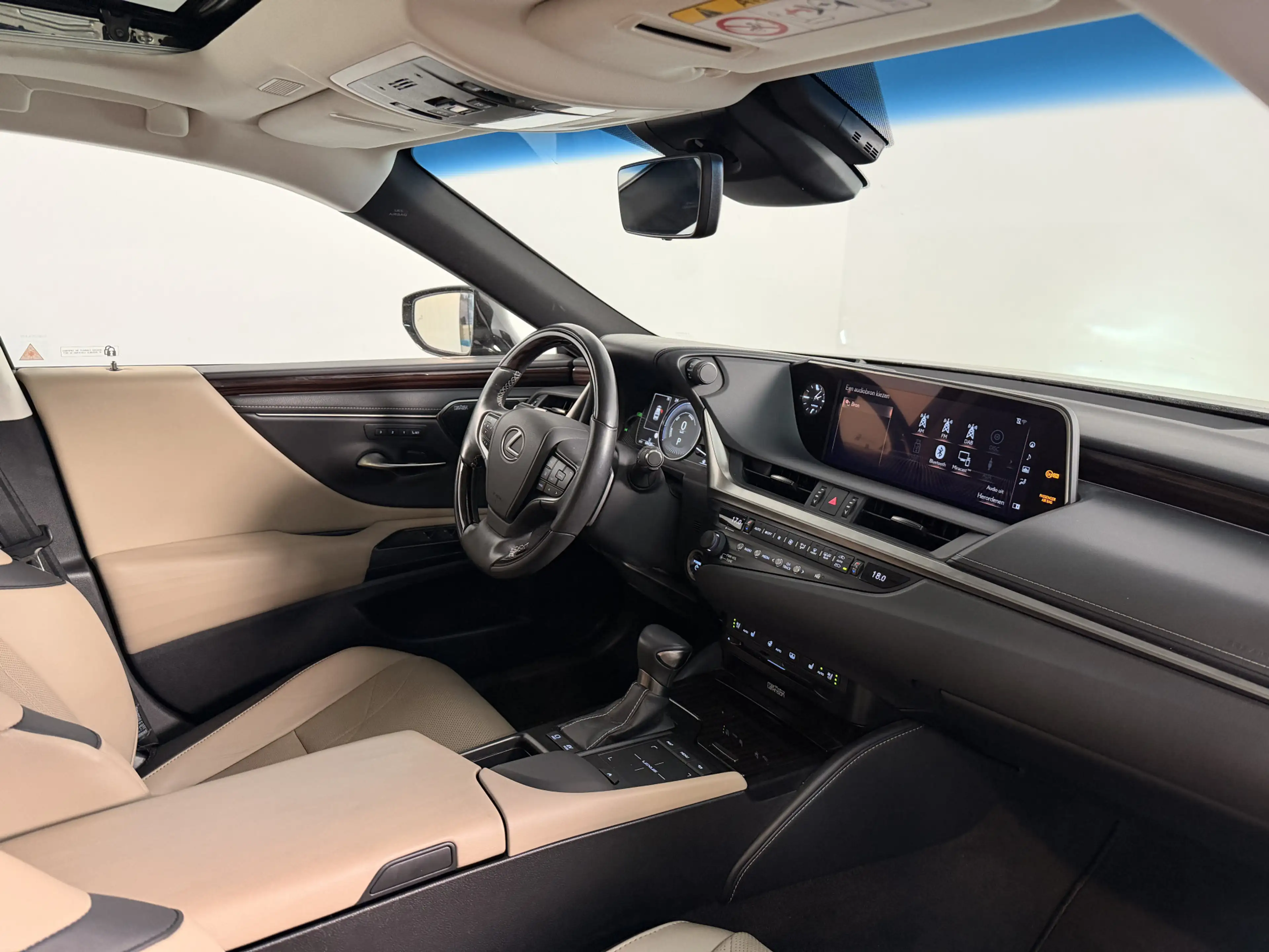 Lexus ES 300 300h President Line — photo 6