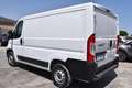 Fiat Ducato 28 2.3 MJT 120CV PC-TN Furgone Bianco - thumbnail 6