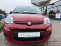 Fiat Panda Pandina ICON Rot - thumbnail 3