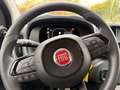 Fiat Panda Pandina ICON Rot - thumbnail 14