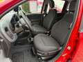 Fiat Panda Pandina ICON Rot - thumbnail 12