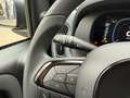 Fiat Panda Pandina ICON Rot - thumbnail 16