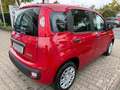 Fiat Panda Pandina ICON Rot - thumbnail 7