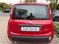 Fiat Panda Pandina ICON Rot - thumbnail 6