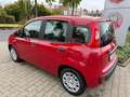 Fiat Panda Pandina ICON Rot - thumbnail 5