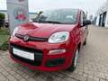 Fiat Panda Pandina ICON Rot - thumbnail 2
