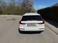 Volvo V60 V60 D4 Momentum Momentum Weiß - thumbnail 5