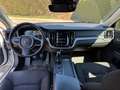 Volvo V60 V60 D4 Momentum Momentum Weiß - thumbnail 8