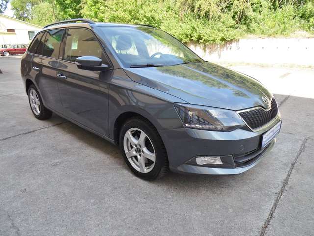 Imagine Skoda Fabia Combi Edition/SHZ/Temp./PDC