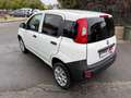 Fiat Panda Panda 0.9 METANO Bianco - thumbnail 4