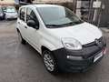 Fiat Panda Panda 0.9 METANO Bianco - thumbnail 1