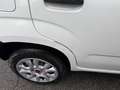 Fiat Panda Panda 0.9 METANO Bianco - thumbnail 9