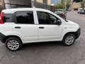 Fiat Panda Panda 0.9 METANO Bianco - thumbnail 8