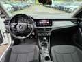 Skoda Kamiq Kamiq 1.0 g-tec Ambition 90cv  GF533XB Blanco - thumbnail 11