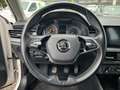 Skoda Kamiq Kamiq 1.0 g-tec Ambition 90cv  GF533XB Blanco - thumbnail 9