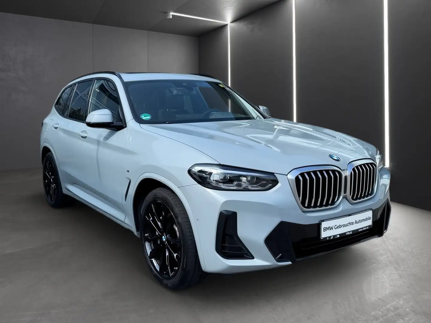 BMW X3 xDrive30i M SPORTPAKET+PANO+AHK+LIVE COCKPIT PRO Серый - 2