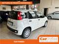 Fiat Panda 1.0 FireFly 70CV Hybrid Panda Bianco - thumbnail 3