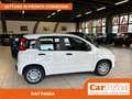 Fiat Panda 1.0 FireFly 70CV Hybrid Panda Blanc - thumbnail 6