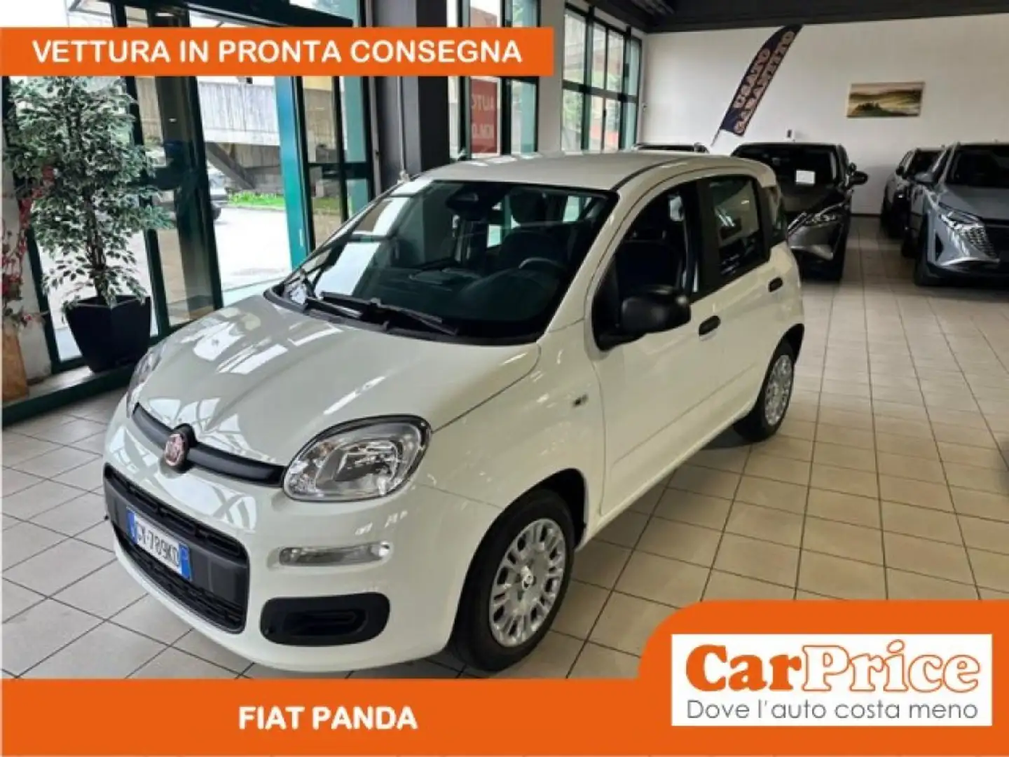 Fiat Panda 1.0 FireFly 70CV Hybrid Panda Blanc - 1