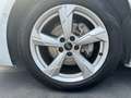 Audi A6 A6 Avant 40 TDI Business Sport 204cv S-Tronic Weiß - thumbnail 24