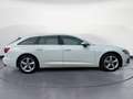 Audi A6 A6 Avant 40 TDI Business Sport 204cv S-Tronic Weiß - thumbnail 8