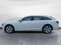 Audi A6 A6 Avant 40 TDI Business Sport 204cv S-Tronic Weiß - thumbnail 4