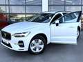 Volvo XC60 B4 Core FWD Aut. Blanc - thumbnail 17