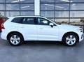 Volvo XC60 B4 Core FWD Aut. Blanc - thumbnail 14